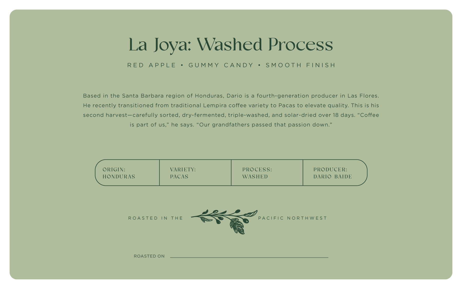 Honduras, La Joya, Washed Process